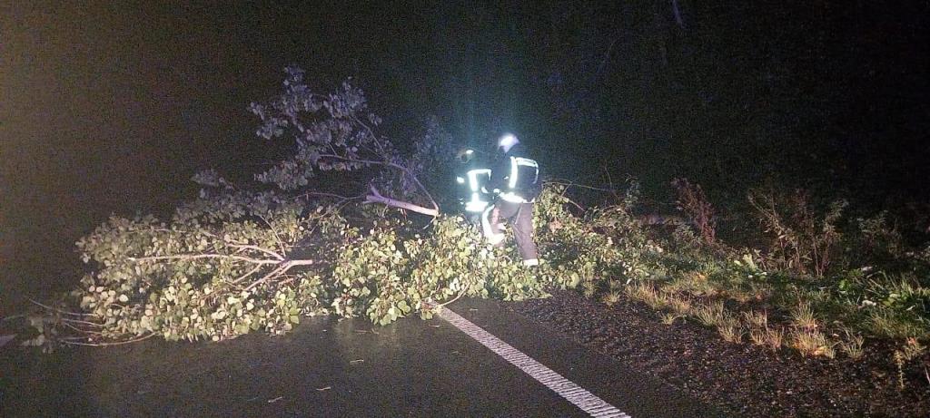 На Ковельщині рятувальники звільнили проїжджу частину від поваленого дерева