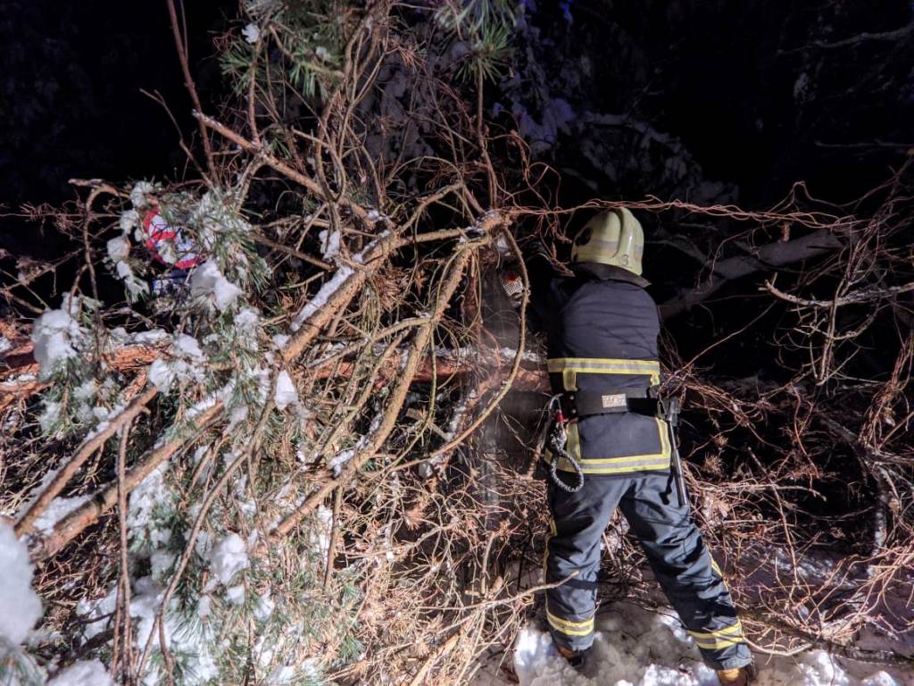 У Луцькому районі рятувальники звільнили дорогу від поваленого дерева