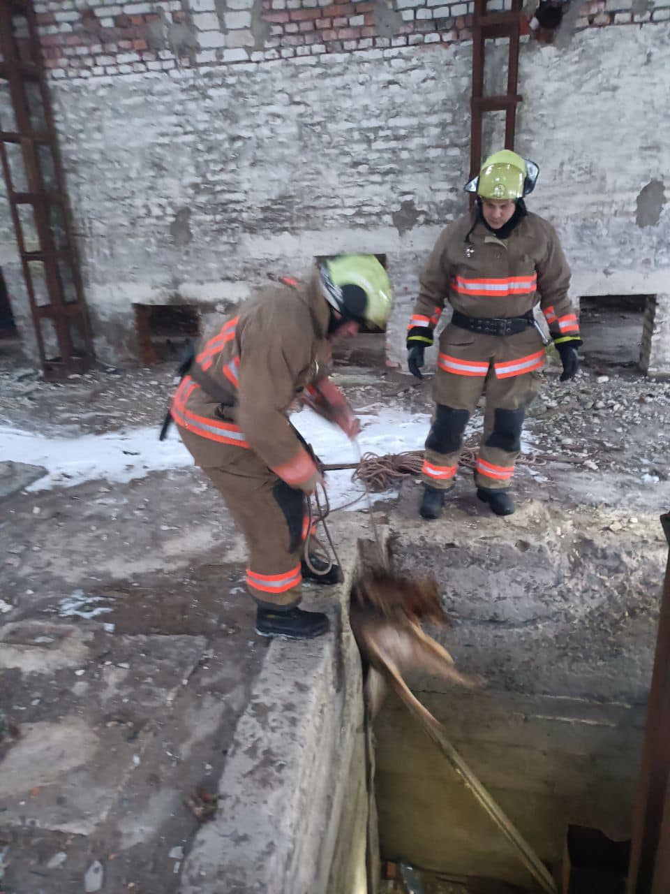На Ковельщині рятувальники визволяли собаку, який упав в яму
