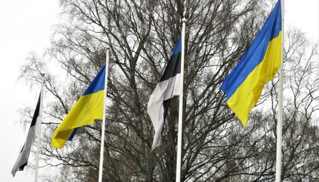 Естонія у наступні чотири роки виділятиме 0,25 % ВВП на оборону України