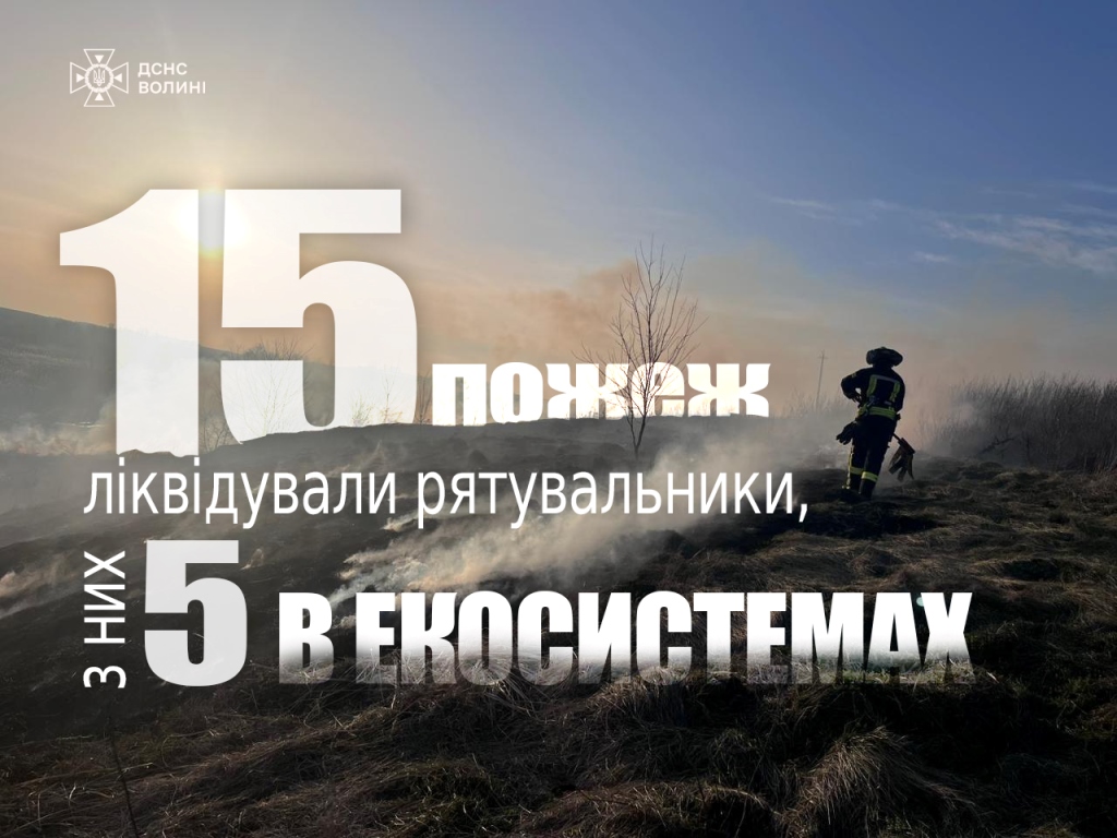 За тиждень на Волині ліквідували п’ять пожеж в екосистемах
