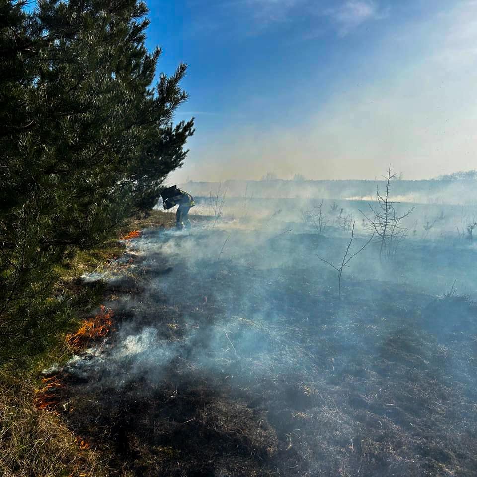 На Волині через необережність трапилось чотири пожежі в екосистемі