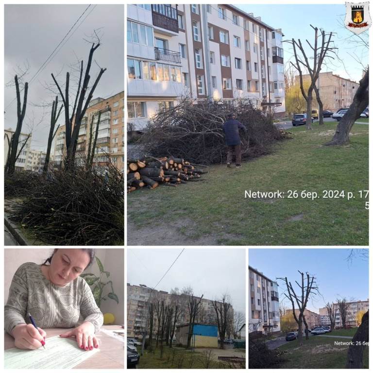 За самовільне кронування дерев у Луцьку покарають голову ОСББ