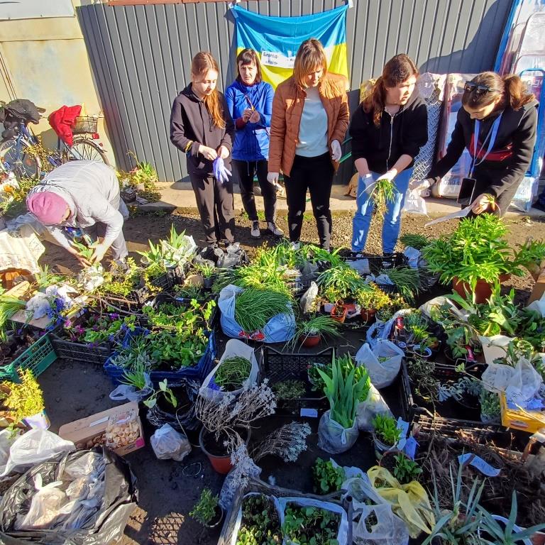 У Маневичах відбувся благодійний ярмарок рослин «Квіти – за донат для ЗСУ»
