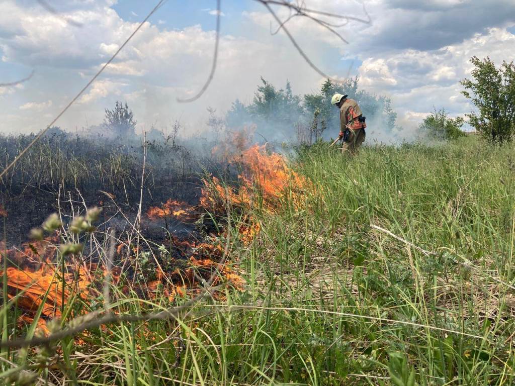 Гроза та необережність з вогнем: на Волині ліквідували сім пожеж