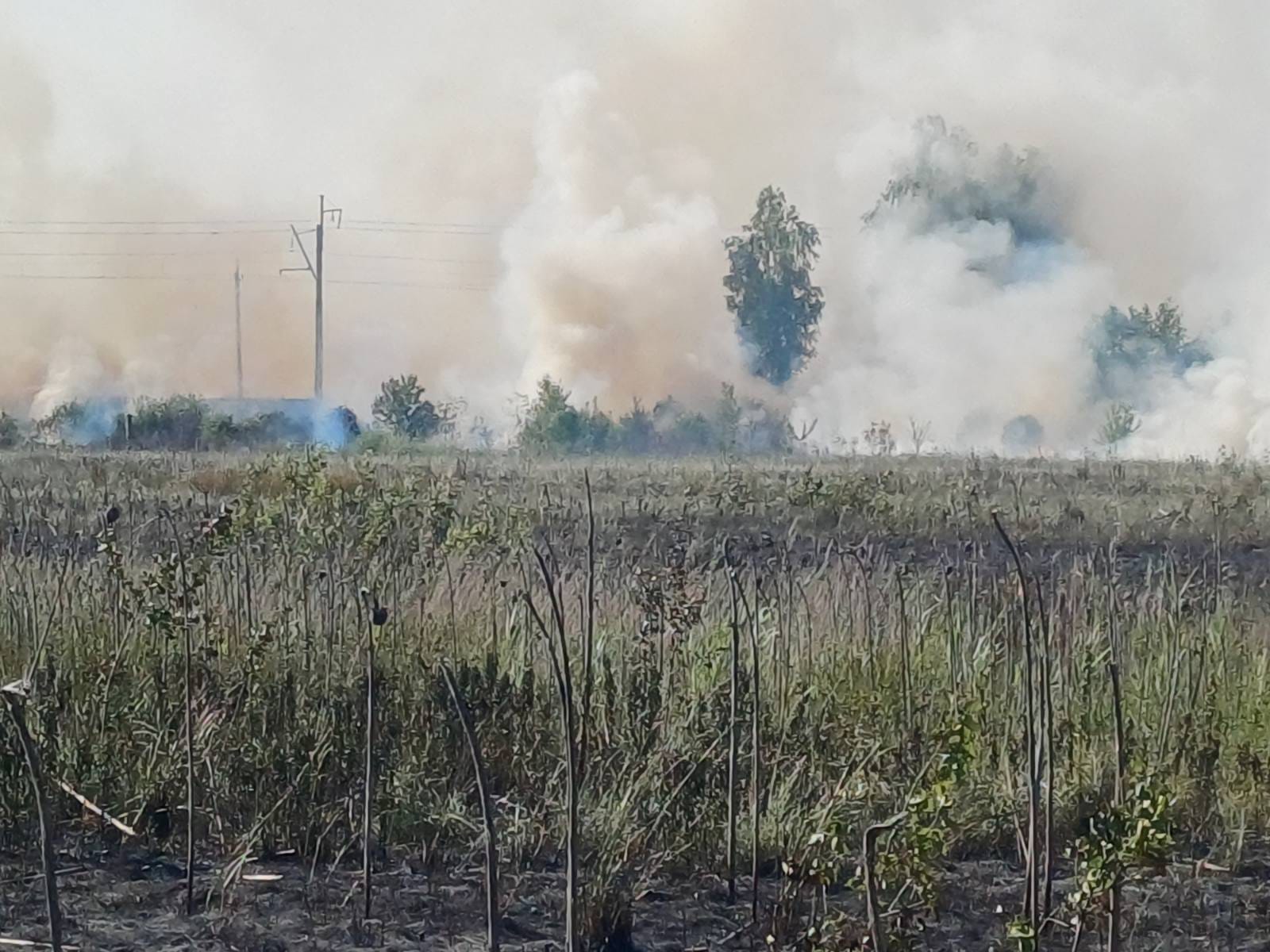 На Волині за добу ліквідували декілька пожеж