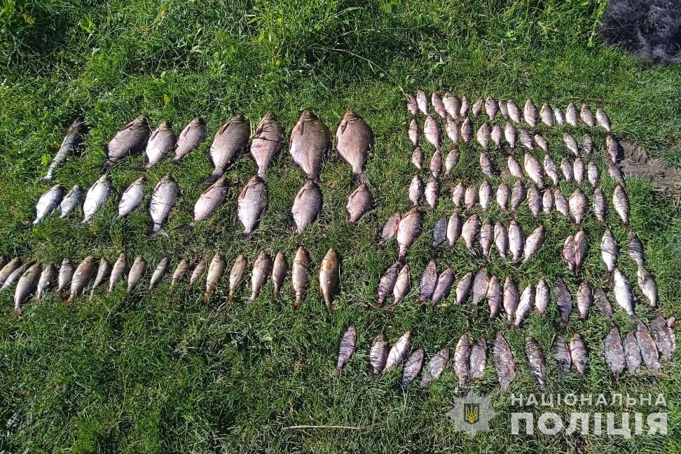 Завдав збитків на понад 200 тисяч гривень: на Горохівщині впіймали браконьєра