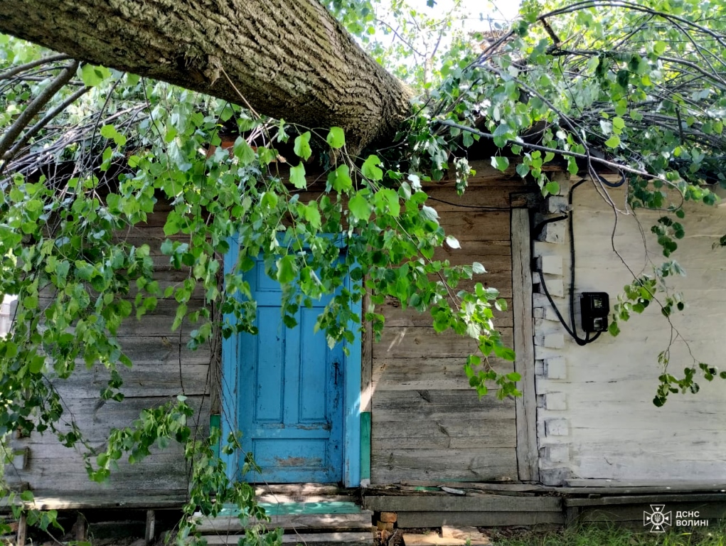 На Камінь-Каширщині на оселю пенсіонера впало старе дерево
