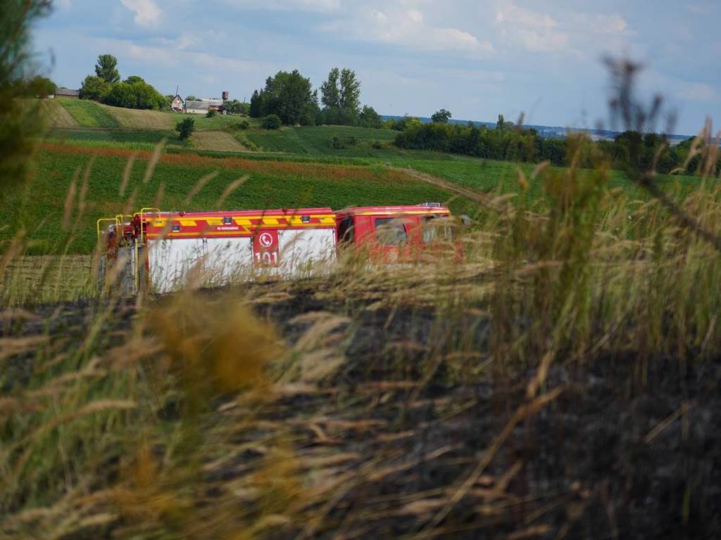 За добу на Волині – читири пожежі в екосистемах