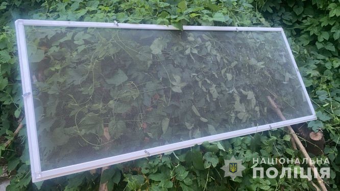 У Луцьку двоє малолітніх дітей випали  з вікна другого поверху