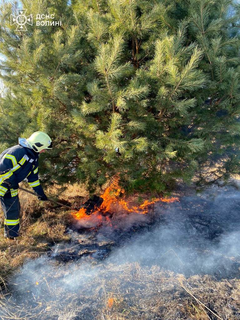 На Волині за добу виникло шість пожеж сухої рослинності