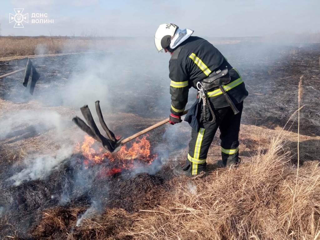 За добу на Волині зафіксували чотири пожежі сухої трави