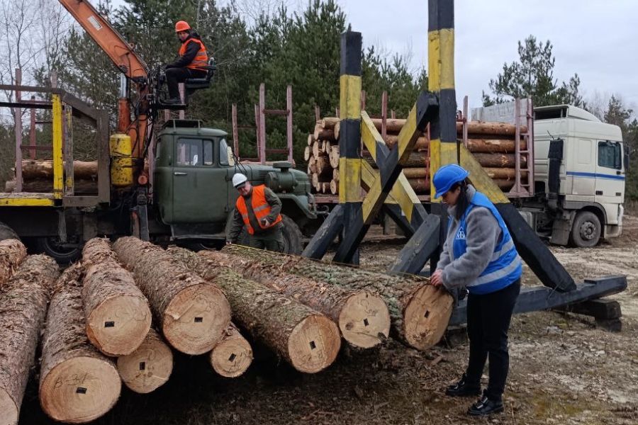 Агенти УУБ проконтролювали передачу реалізованої необробленої деревини покупцеві на Волині