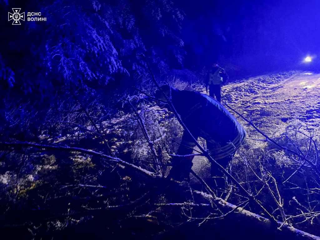 На Волині рятувальники ліквідували наслідки падіння дерева на трасі