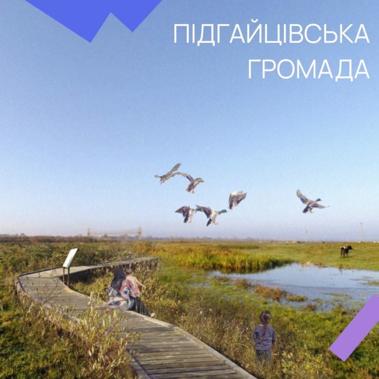 У Підгайцях, планують створити сучасний екопарк