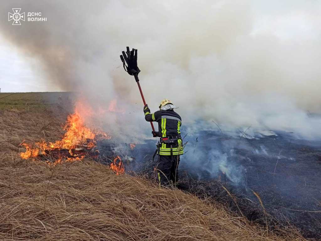 У Городищенській громаді ліквідували пожежу сухостою