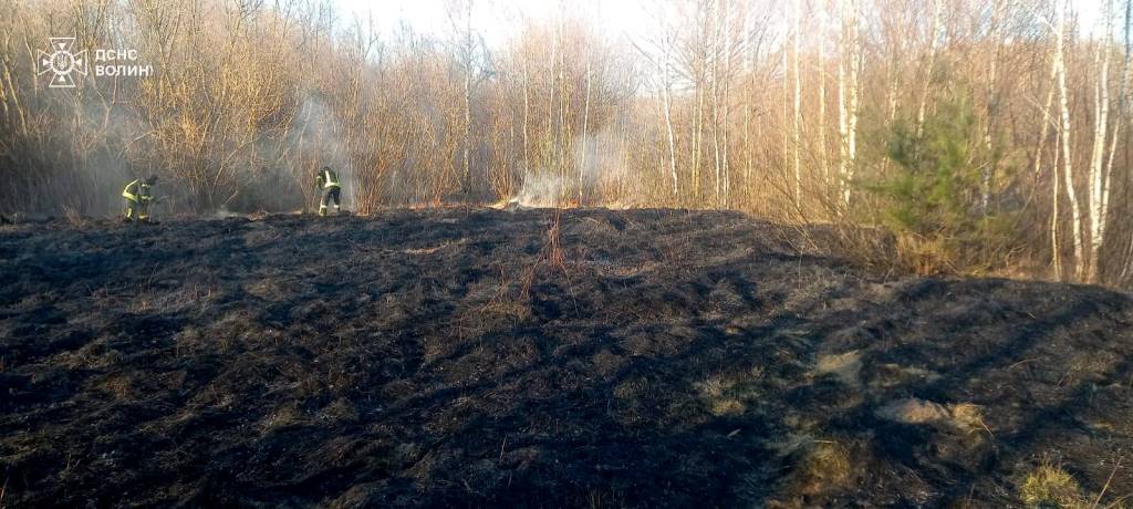 У Ковелі рятувальники ліквідували дві пожежі посуші