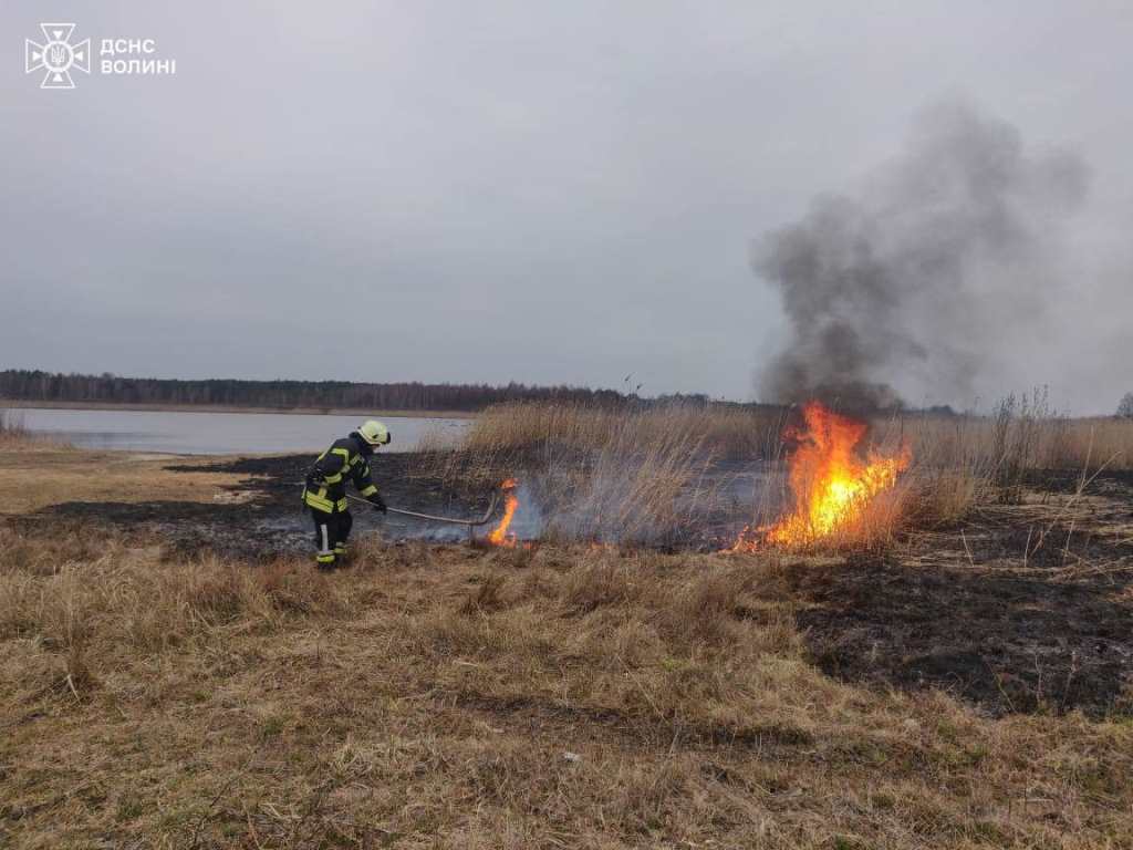 На Волині вогнеборці ліквідували загоряння сухої трави