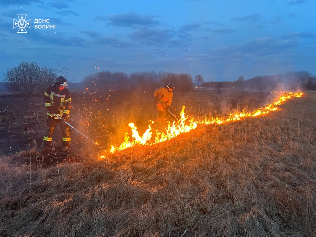 Вогняна доба на Волині: 19 гектарів землі випалені вогнем