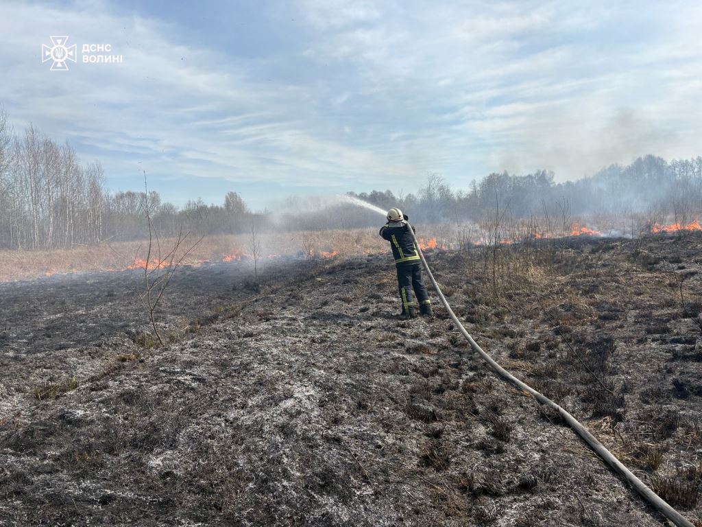 Вогонь не відступає: на Волині знову горить суха трава