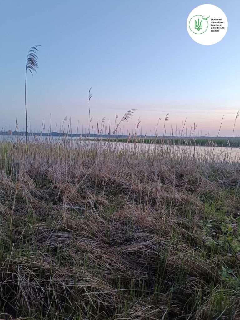 На водних об’єктах Волині притягнули до адмінвідповідальності вісьмох осіб