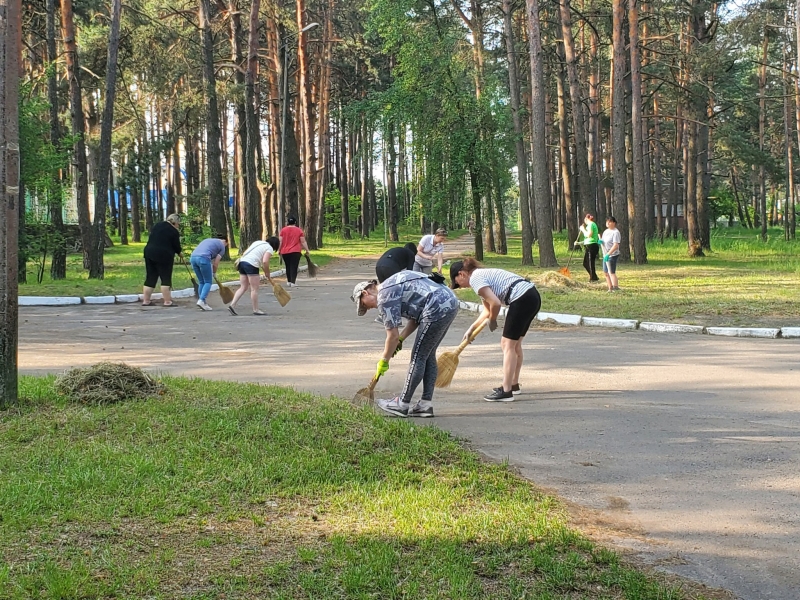 У Маневичах організували акцію з прибирання та озеленення території