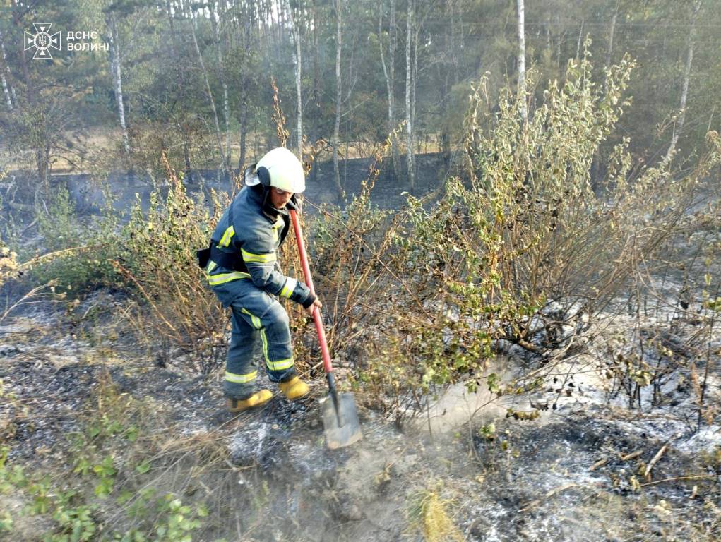 Рятувальники Камінь-Каширщини ліквідували масштабну пожежу сухої трави
