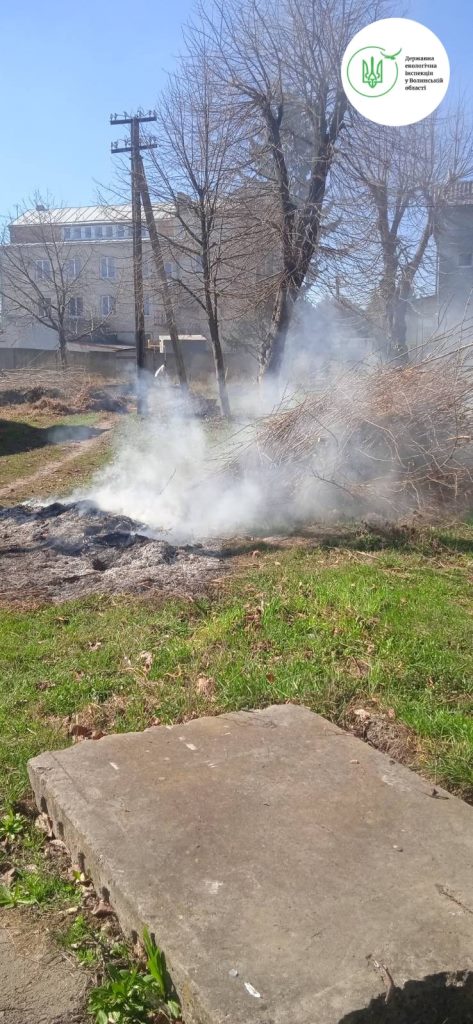 В Олиці екоінспектори виявили паліїв сміття