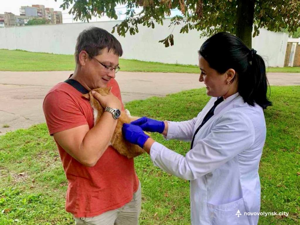 У Нововолинську проведуть мобільну вакцинацію домашніх улюбленців
