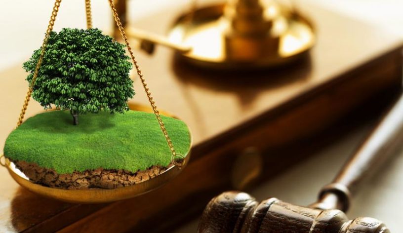 Недобросовісні орендарі повернули Ківерцівській громаді земельні ділянки площею 250 гектарів