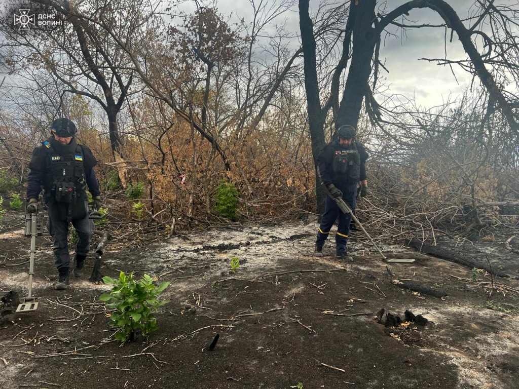 Волинські сапери працюють на деокупованих територіях