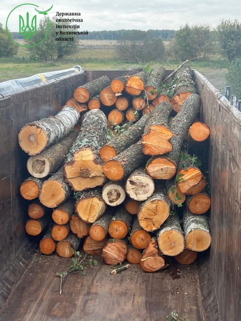 У Велицькій громаді виявили незаконну рубку дерев