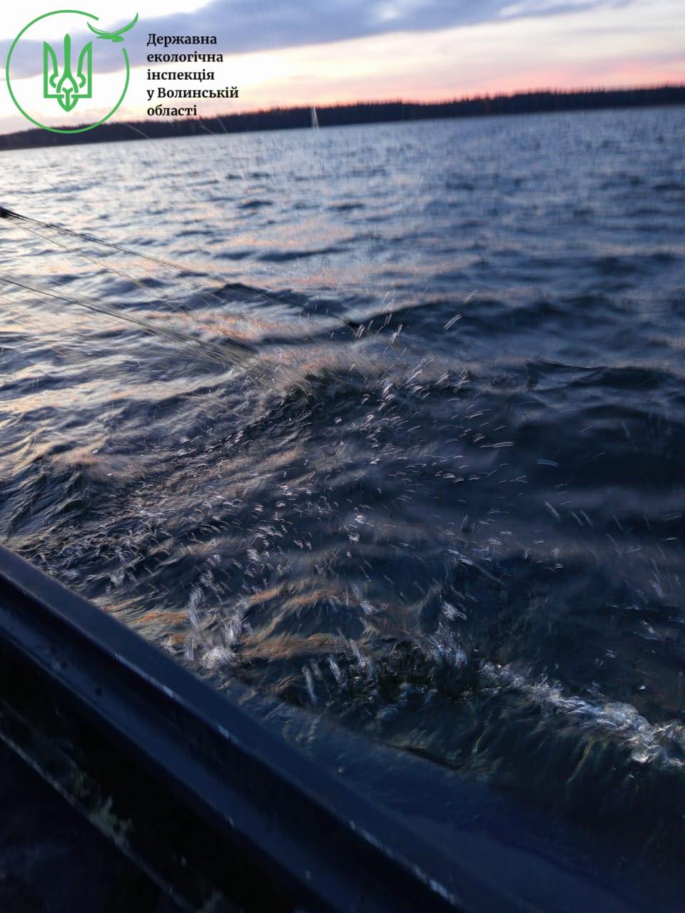 На Волині на озері Люцимер вилучили 12 риболовецьких сіток