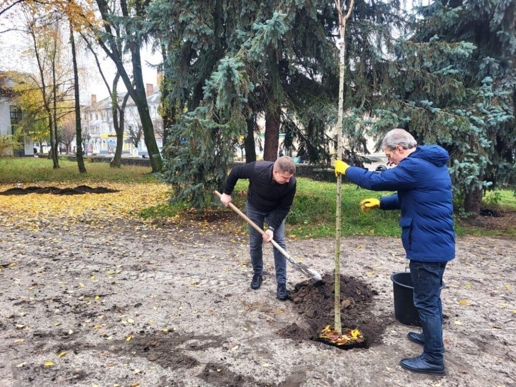 У Ковелі у парку імені Лесі Українки розпочали роботи з озеленення