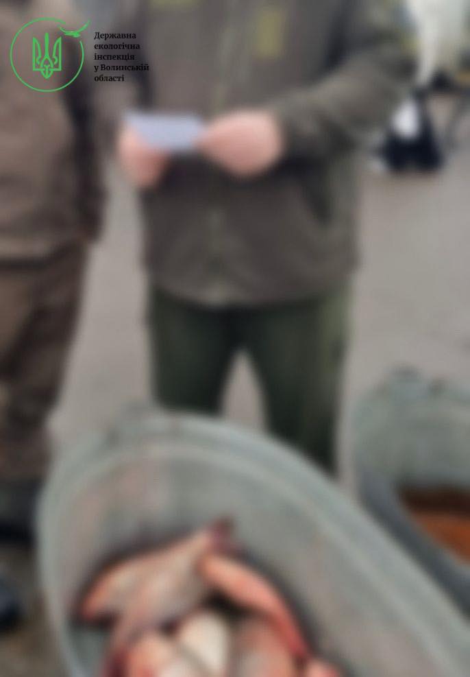 На Волині перевірили дотримання вимог природоохоронного законодавства під час торгівлі рибою