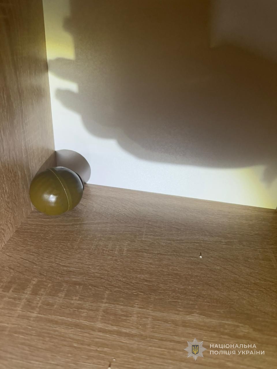 Ковельські слідчі оголосили про підозру фігуранту за незаконне поводження зі зброєю