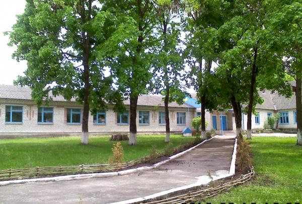 Від сільради на Камінь-Каширщині вимагають оформити документи на земелю під гімназією