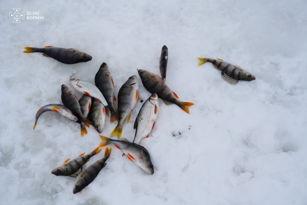 Лід ще міцний, але ненадовго: у Луцьку рятувальники нагадали рибалкам про підступність криги у період відлиги