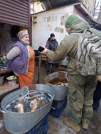 У Володимирі та Нововолинську перевірили місця реалізації рибної продукції