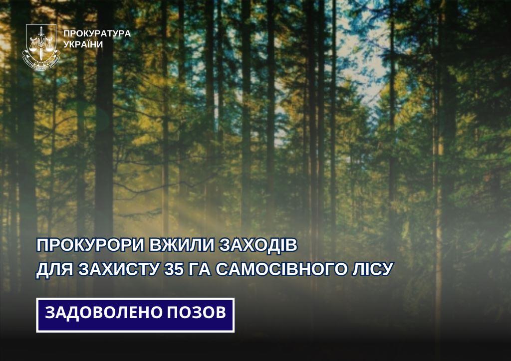 На Волині прокурори вжили заходів для захисту 35 гектарів самосівного лісу
