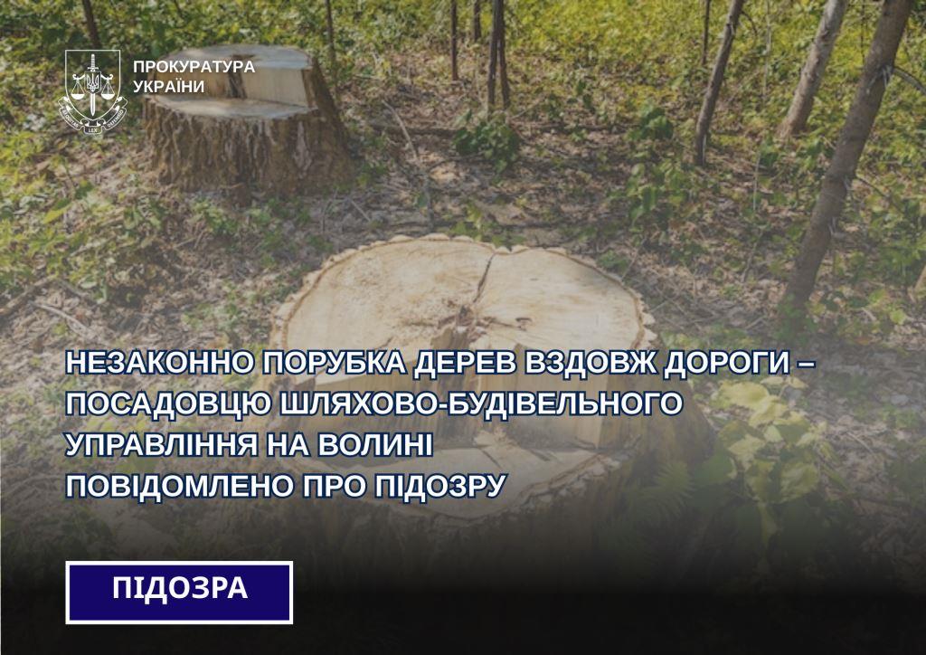 Незаконно порубка дерев вздовж дороги – посадовцю шляхово-будівельного управління на Волині повідомили про підозру