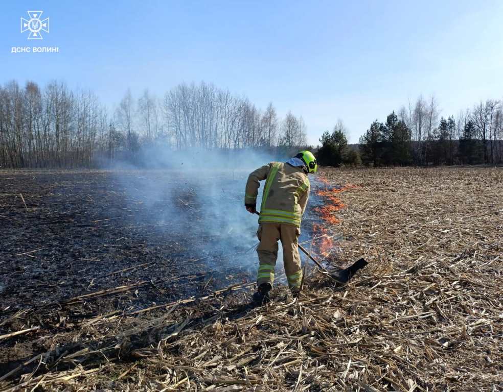 За добу на Волині ліквідували чотири пожежі сухої трави