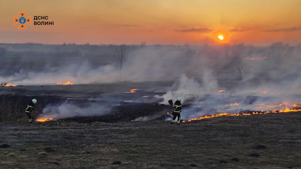 За добу на Волині ліквідували низку пожеж в екосистемах
