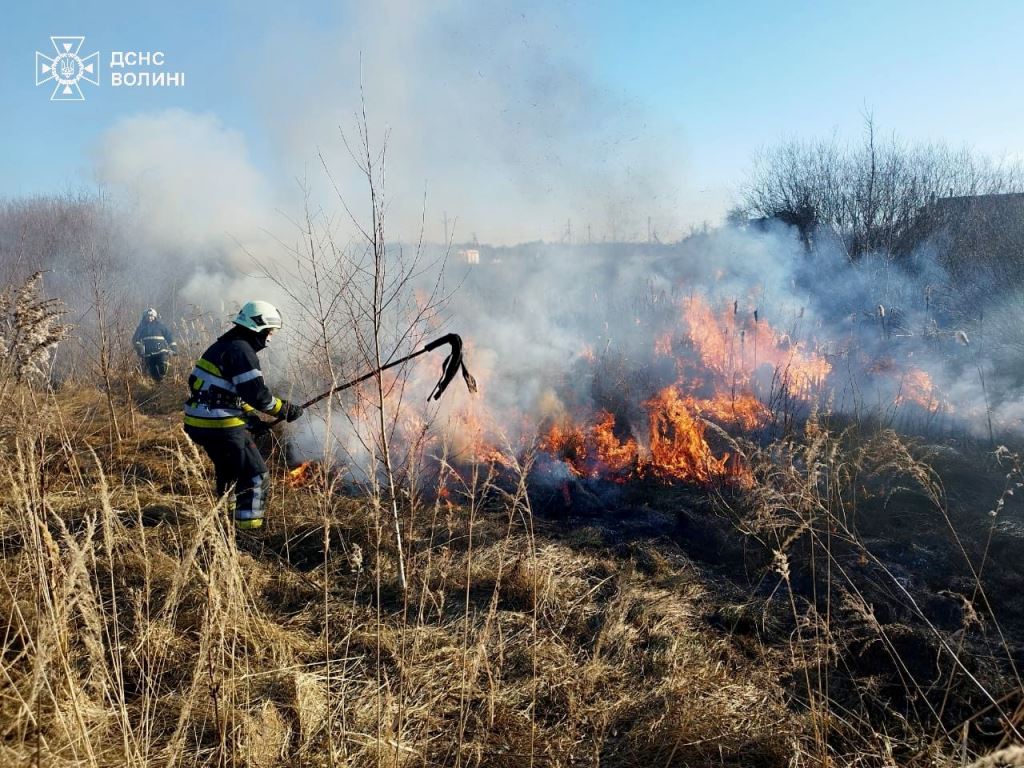 За минулу добу на Волині ліквідували чотири пожежі, що трапилися на відкритих ділянках