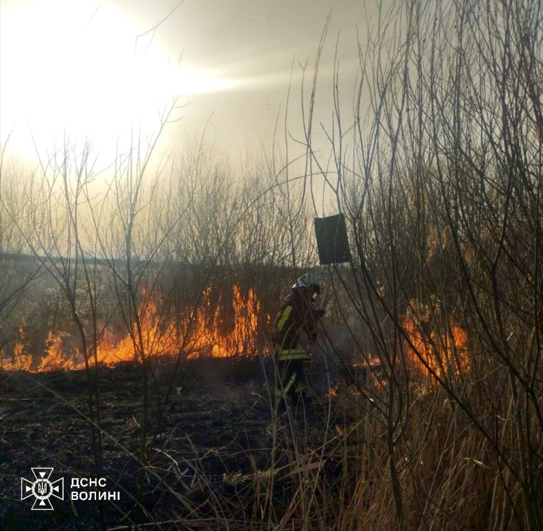 У неділю на Волині зафіксували низку пожеж сухої трави