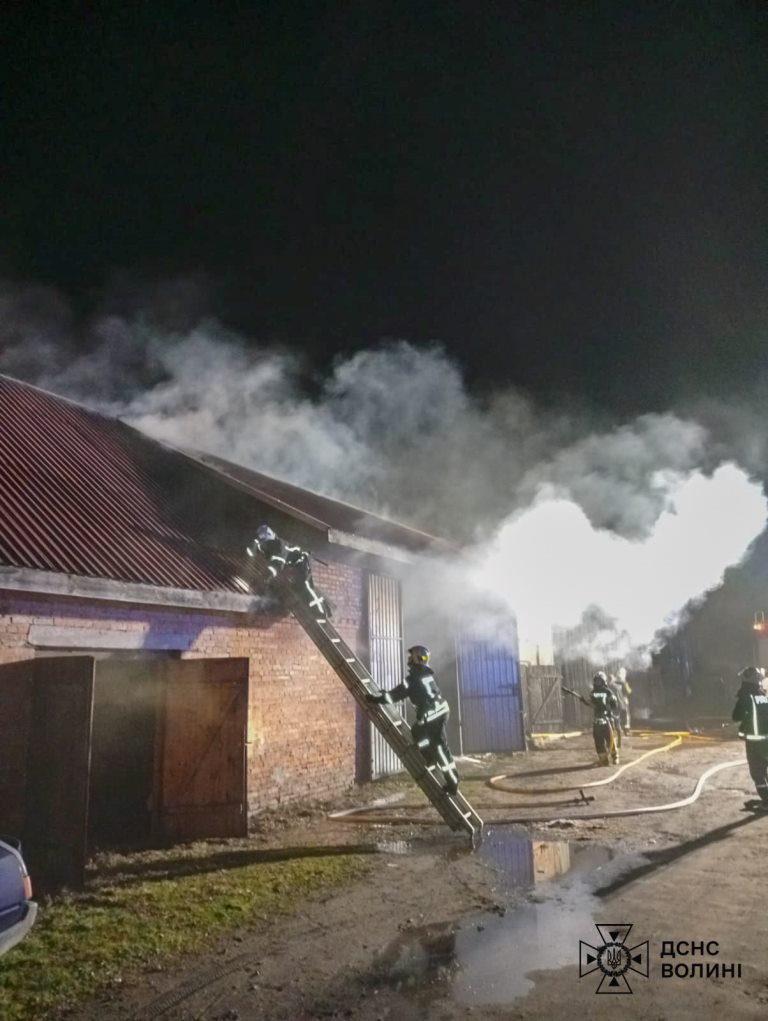 На Волині рятувальники ліквідували пожежі у житловому секторі