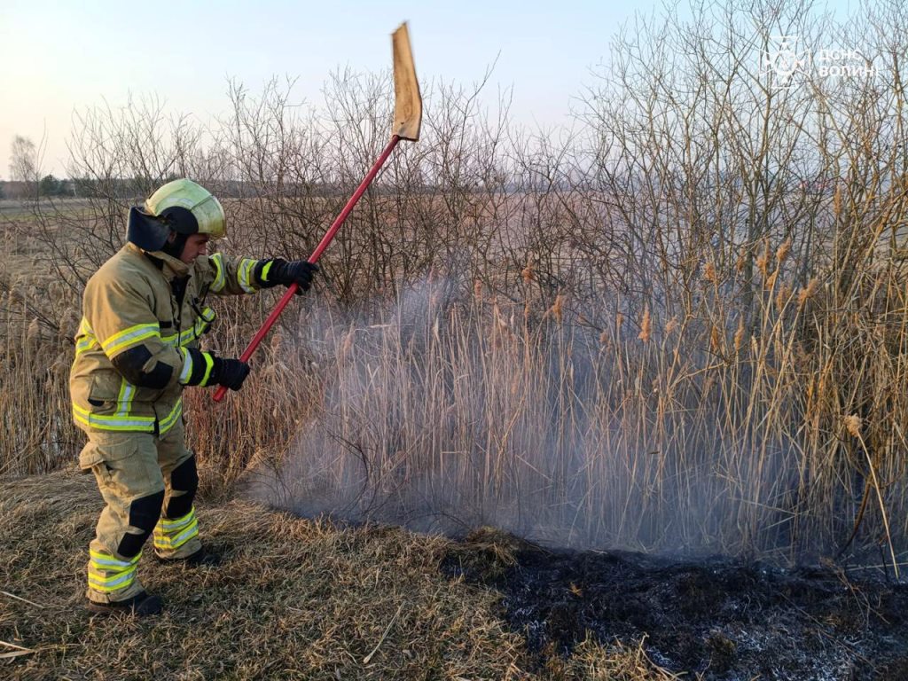 На Волині гасили понад сім гектарів сухостою