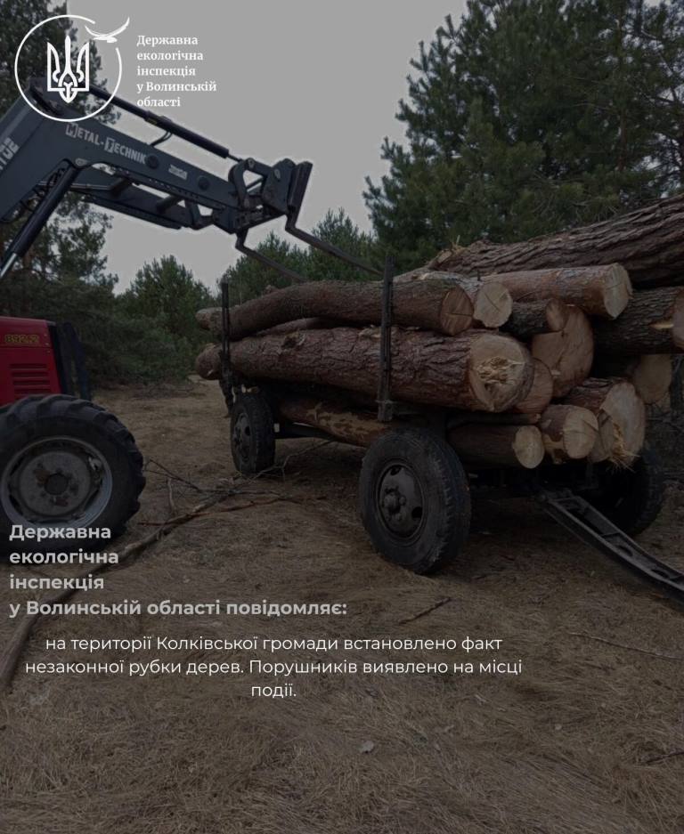 На території Колківської громади виявили незаконну порубку дерев