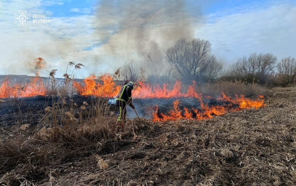 Волинь знову у вогні: вісім пожеж через людську недбалість