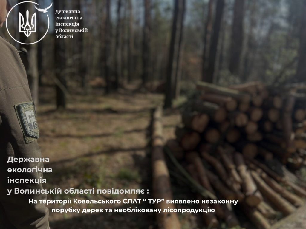 У Ковельському районі виявили незаконну порубку дерев та необліковану лісопродукцію